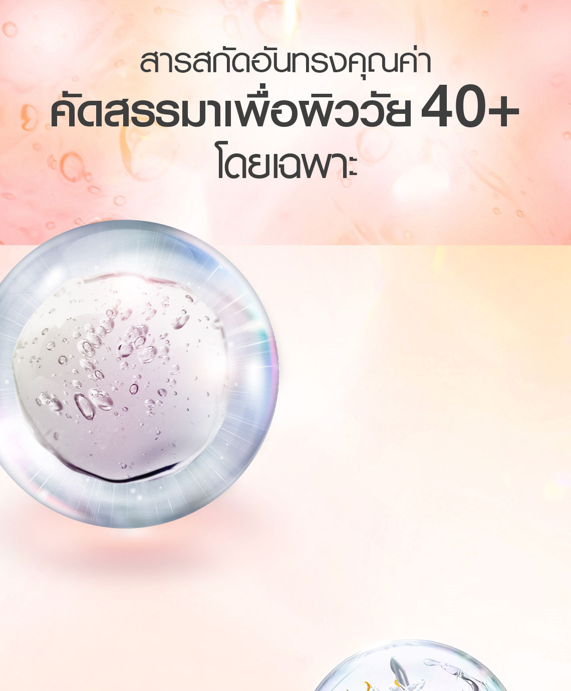 สารสกัดอันทรงคุณค่า คัดสรรมาเพื่อผิววัย 40+ โดยเฉพาะ